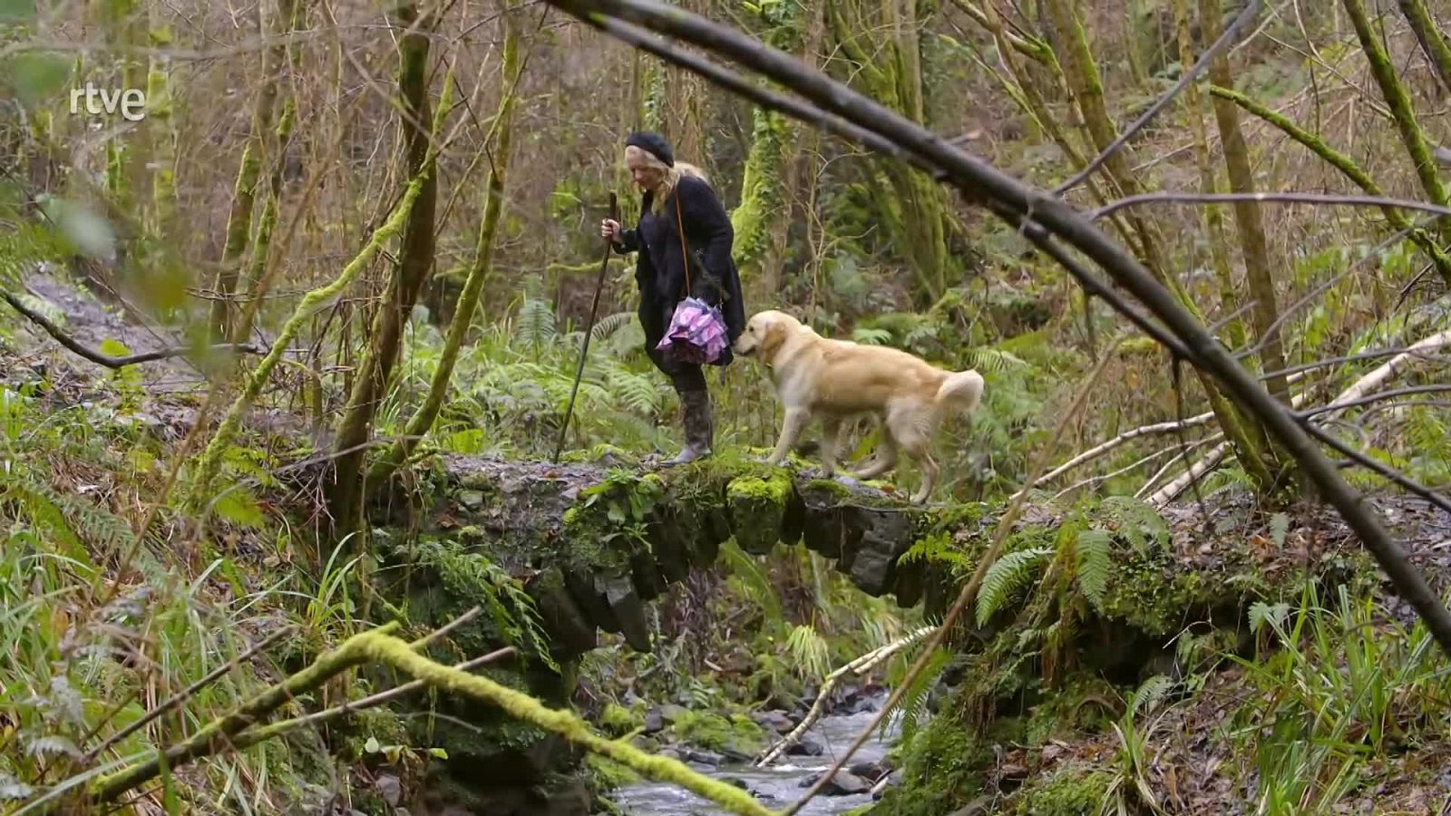 Ruralitas - Programa 4: Joyera (Asturias) y panaderos (Ávila) - ver ahora