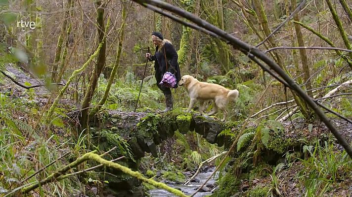 Joyera (Asturias) y panaderos (Ávila)