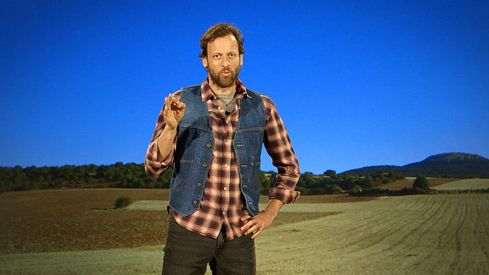 El paisano - Covarrubias (Burgos)