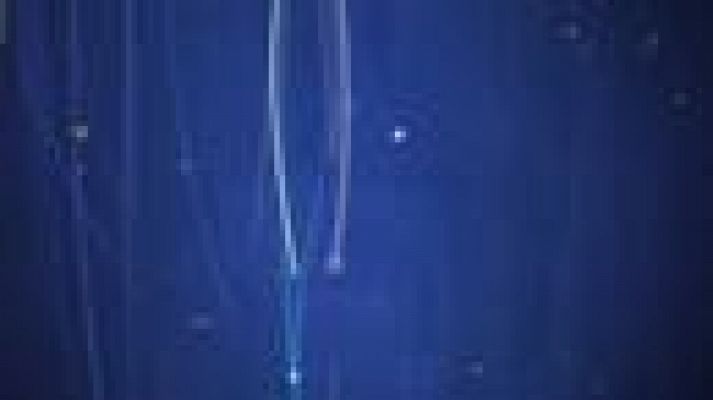 Noticias Andalucía - Noticias Andalucía 2 - 17/08/2021