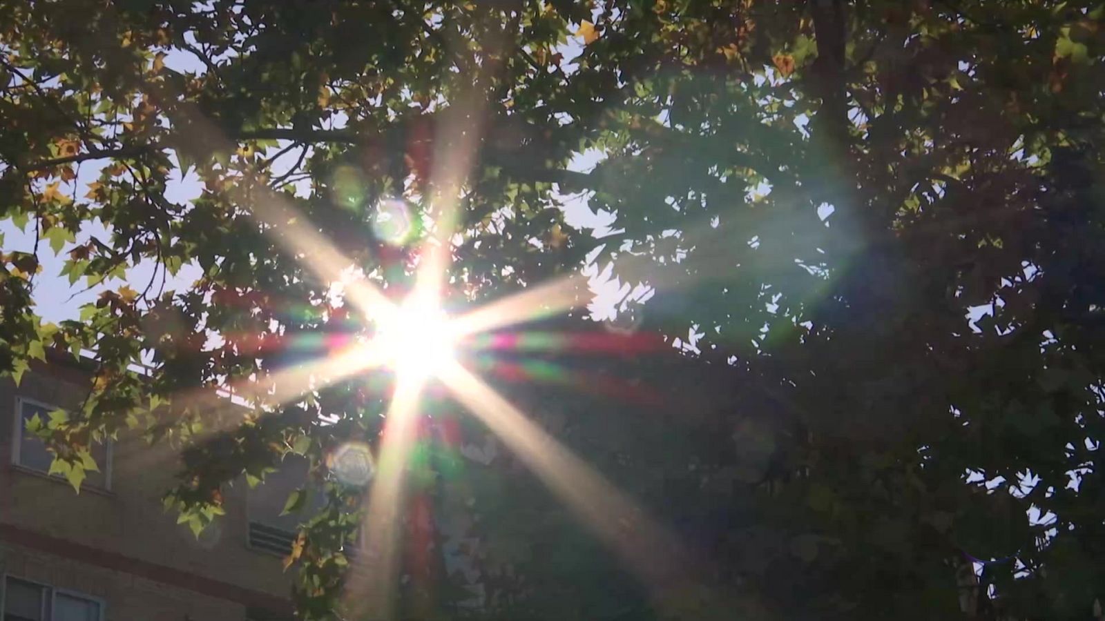En Canarias se prevén rachas de viento fuertes o muy fuertes, así como temperaturas significativamente altas, pudiéndose superar localmente los 40 grados en el sur de islas montañosas - ver ahora