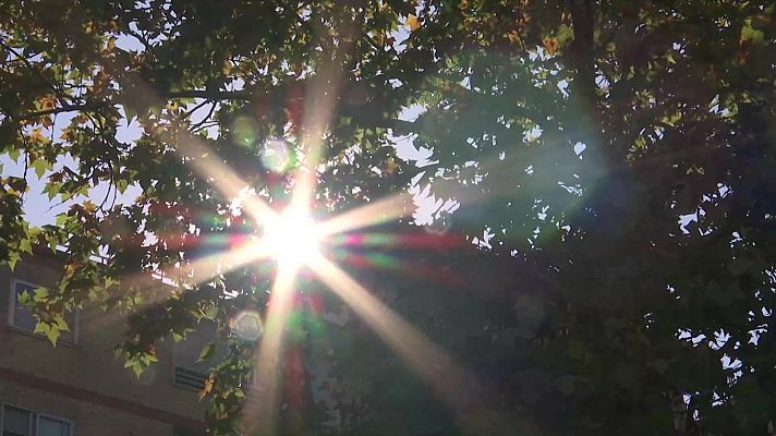 El tiempo - En Canarias se prevén rachas de viento fuertes o muy fuertes, así como temperaturas significativamente altas, pudiéndose superar localmente los 40 grados en el sur de islas montañosas