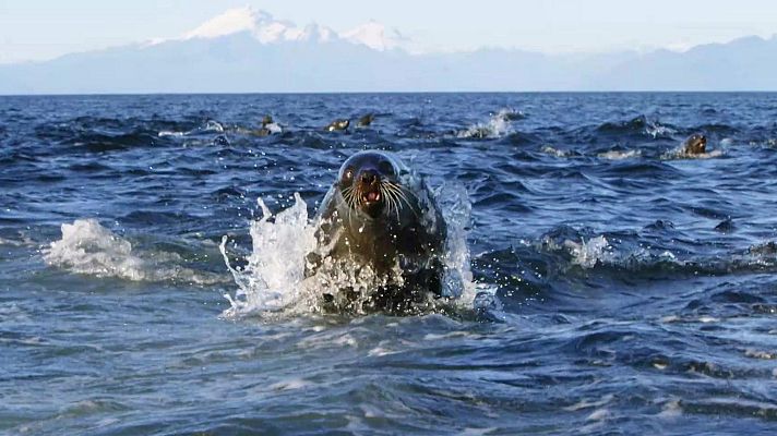 Chile salvaje - Una tierra ancestral