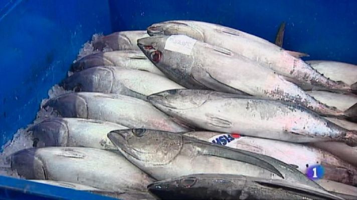 Panorama Regional - Panorama Regional - 18/08/21