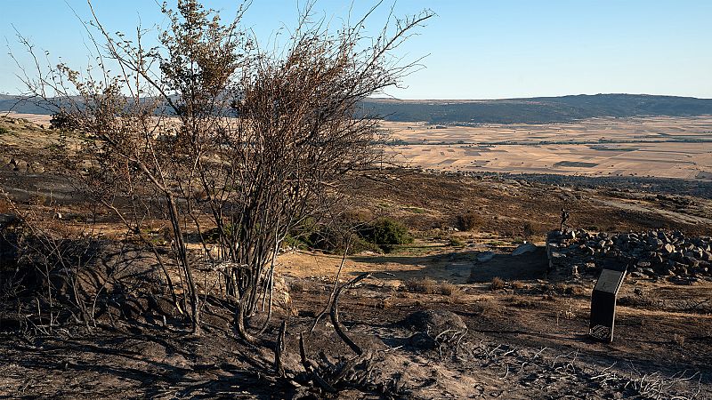 El incendio de vila, estabilizado, con miles de hectreas afectadas