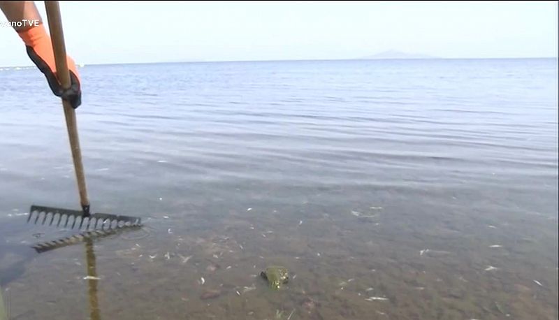 Ecocidio en el mar Menor: "El origen está en el trasvase Tajo-Segura y en la huerta"