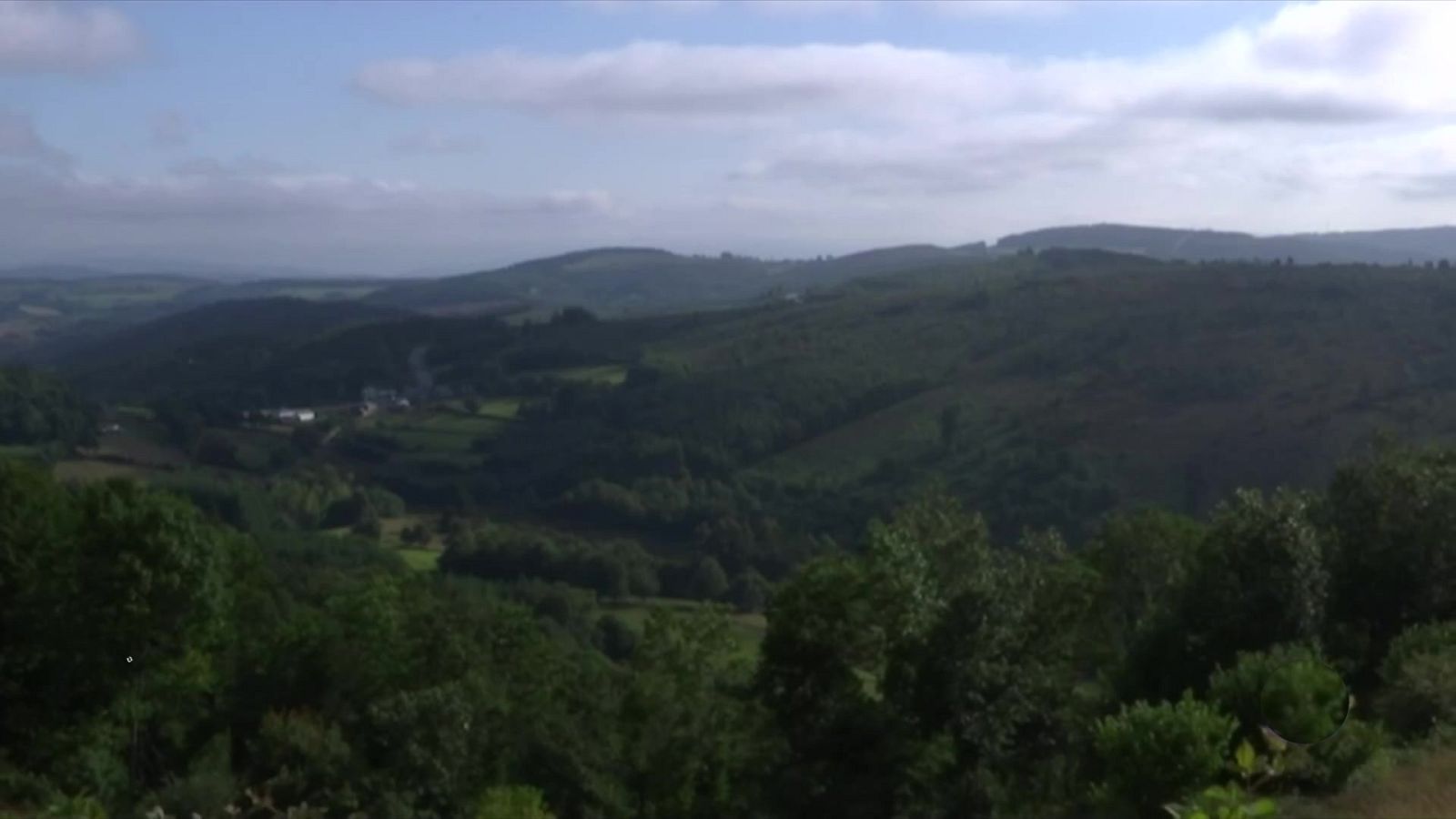En Canarias, rachas de viento fuertes o muy fuertes y temperaturas significativamente altas - ver ahora