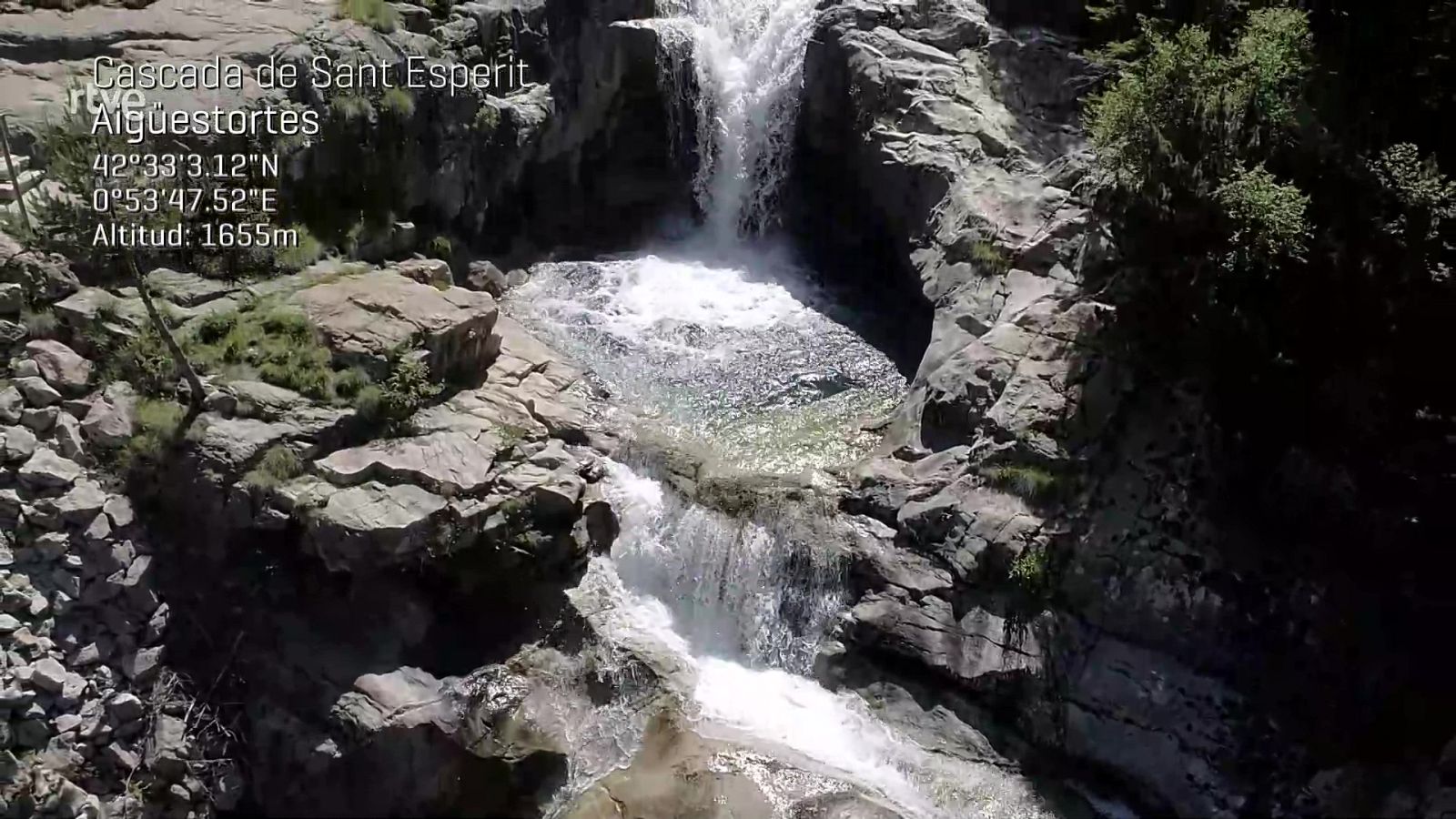 ¡Qué animal! - Episodio 5: Aigüestortes - ver ahora