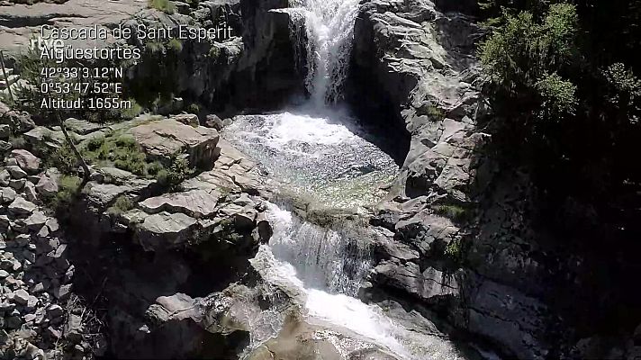 ¡Qué animal! - Aigüestortes