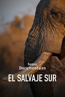 El salvaje Sur