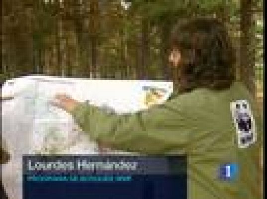  - Los bosques en peligro