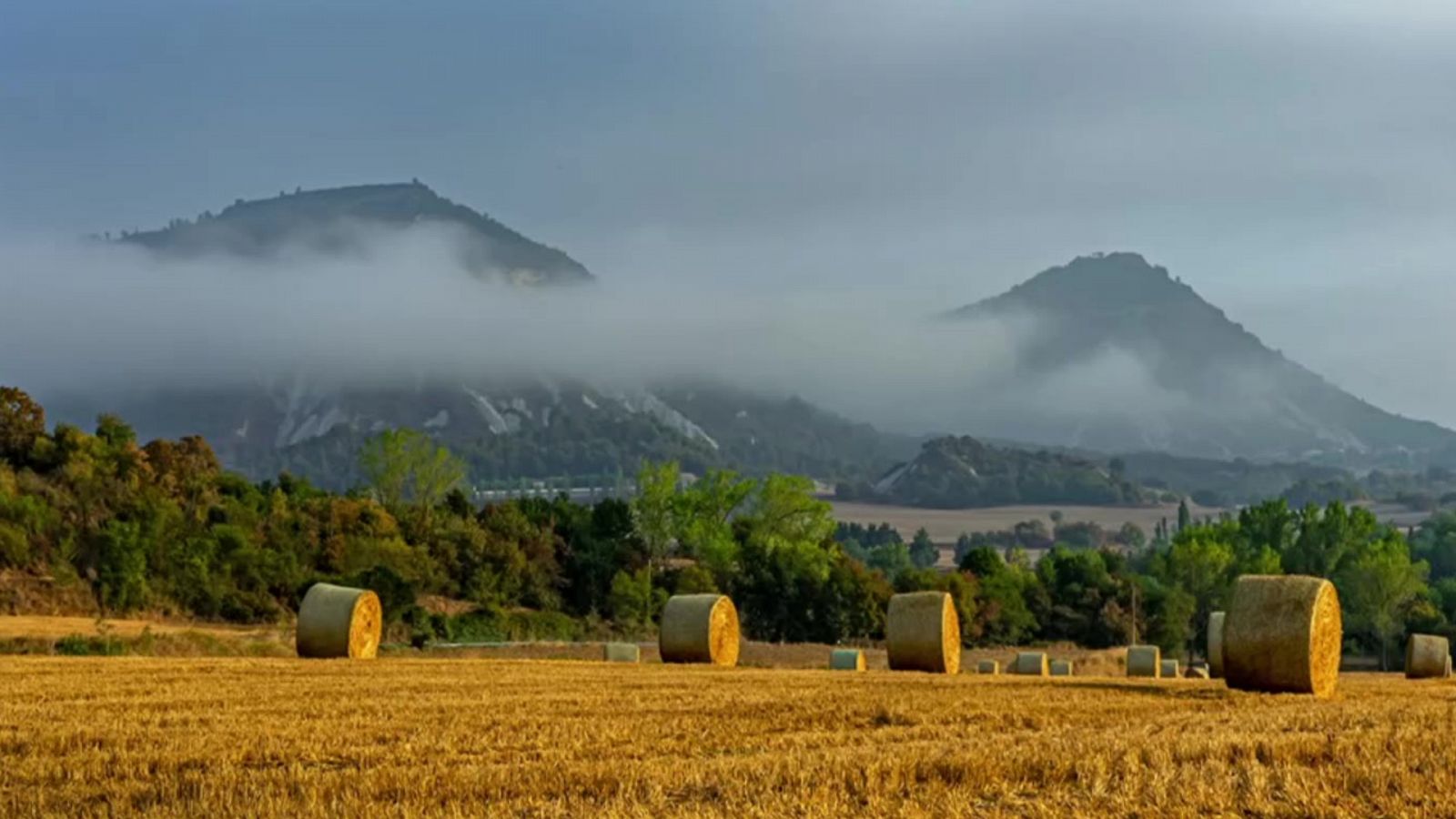 Temperaturas significativamente altas en Gran Canaria y medio Ebro - ver ahora