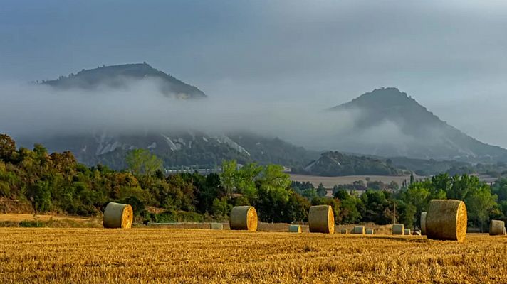 El tiempo - Temperaturas significativamente altas en Gran Canaria y medio Ebro