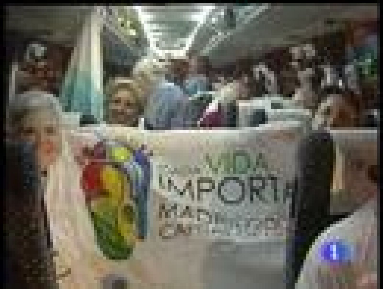 Los grupos pro vida se movilizan | Ver