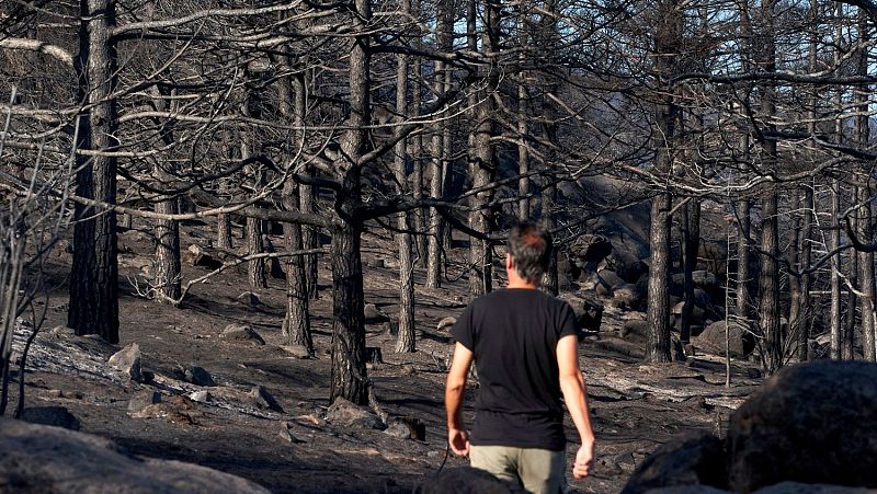 Las cenizas lo cubren todo una semana despus del incendio en vila | Ver