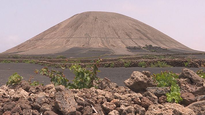 Comando Actualidad - Veraneo a la española