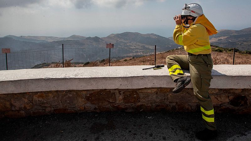 Adaptarse al cambio climático tras los incendios: "Los trabajos selvícolas son necesarios, pero no suficientes"