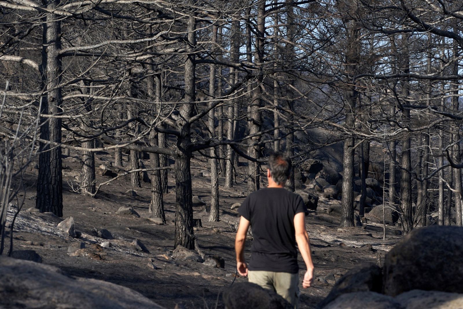 ¿Cómo es la vida tras el incendio de Ávila?