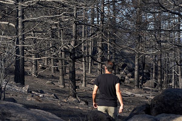 La vida en Ávila tras vivir uno de los mayores incendios