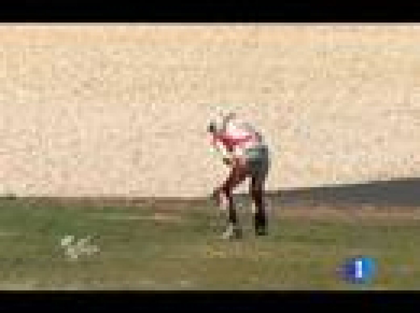 Algunos de las mejores imágenes que nos ha dejado Phillip Island.