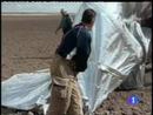  - El niño del globo, ¿Montaje?