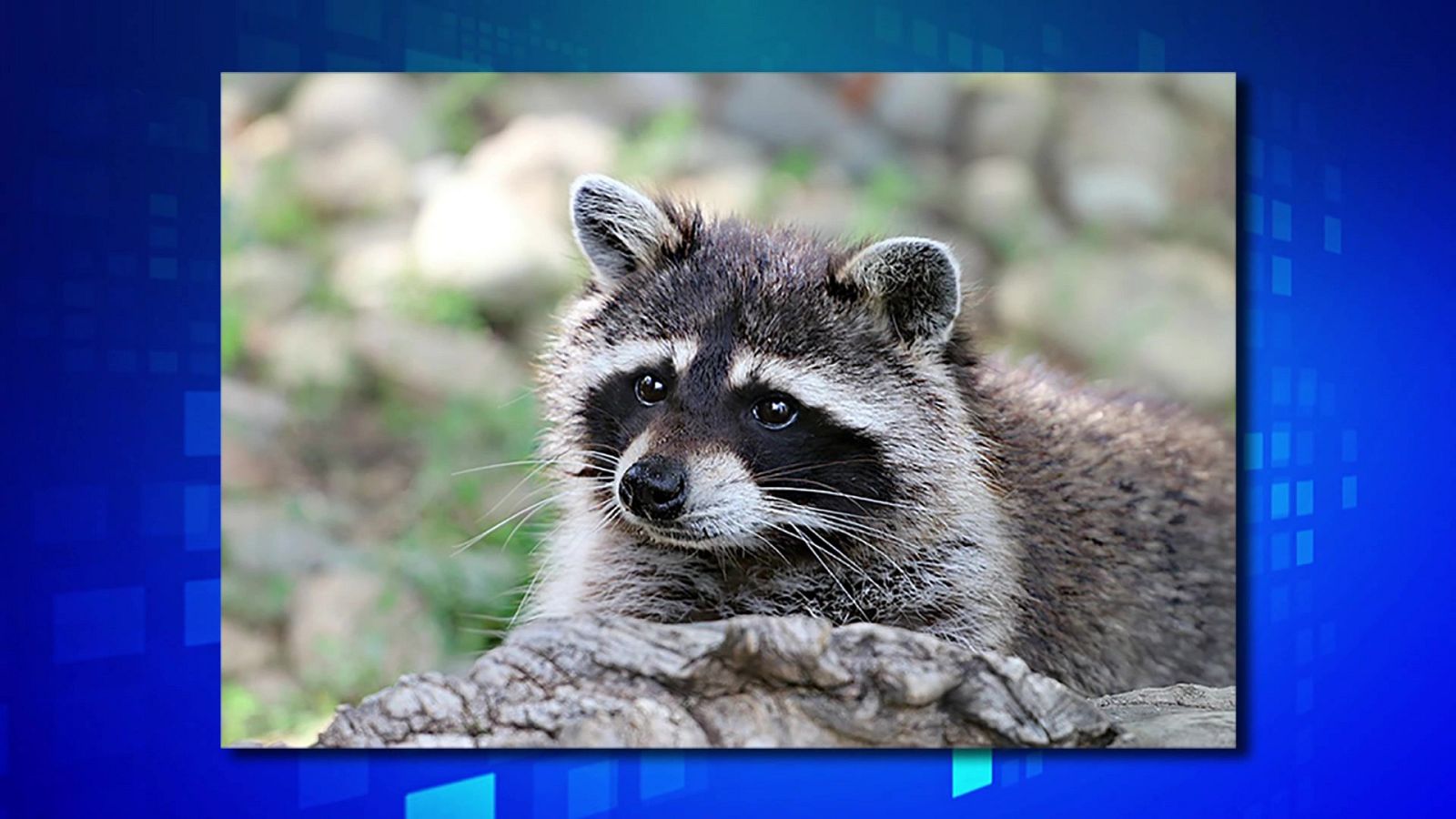 Saber y ganar - 01/09/21 - ver ahora