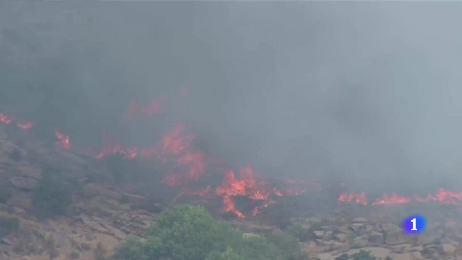 El Gobierno ha declarado zona catastrófica los territorios de las 13 comunidades afectadas por los incendios