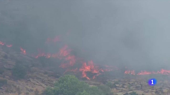El Gobierno ha declarado zona catastrófica los territorios de las 13 comunidades afectadas por los incendios en España