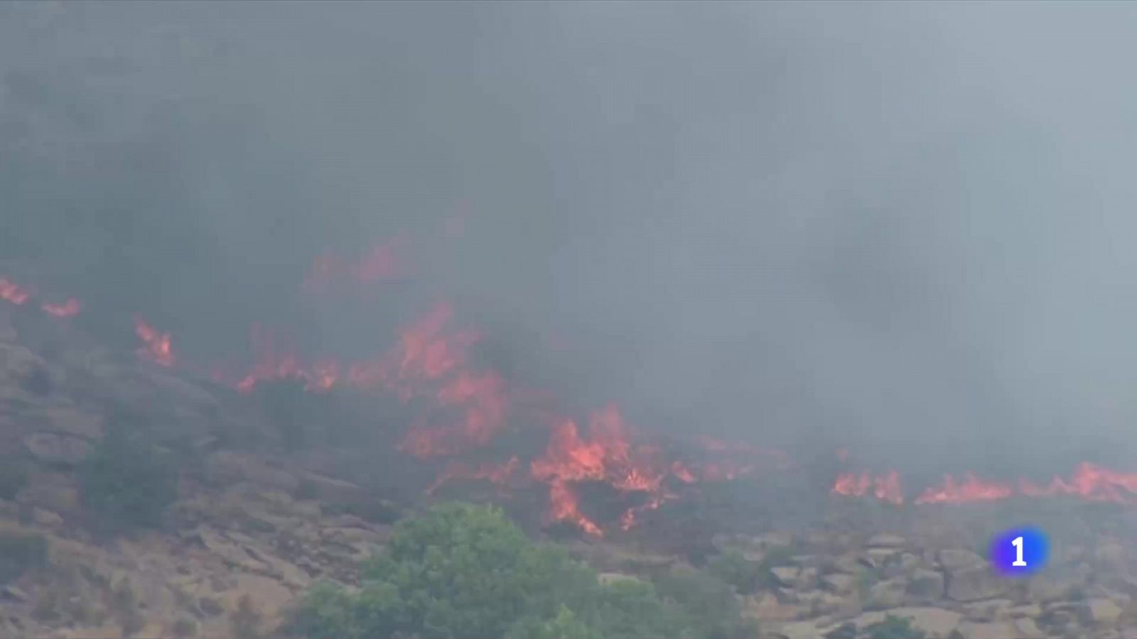 El Gobierno ha declarado zona catastrófica los territorios de las 13 comunidades afectadas por los incendios en España