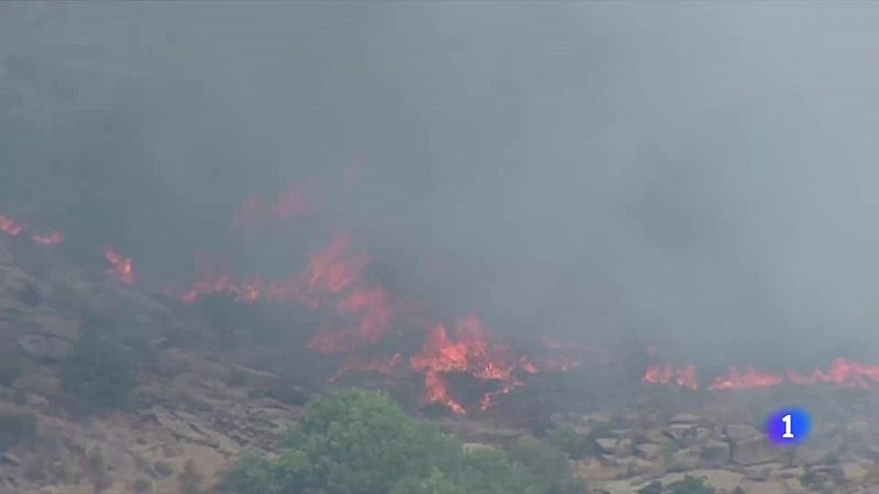 El Gobierno ha declarado zona catastrfica los territorios de las 13 comunidades afectadas por los incendios en Espaa