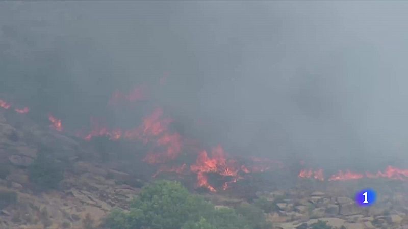 El Gobierno ha declarado zona catastrfica los territorios de las 13 comunidades afectadas por los incendios | Ver