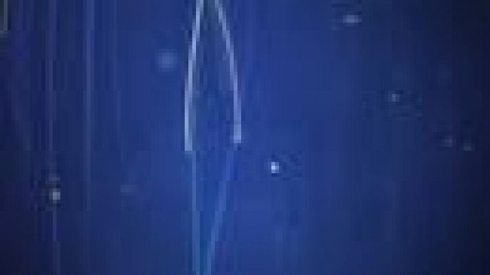 Noticias Andalucía - Noticias Andalucía - 24/08/2021