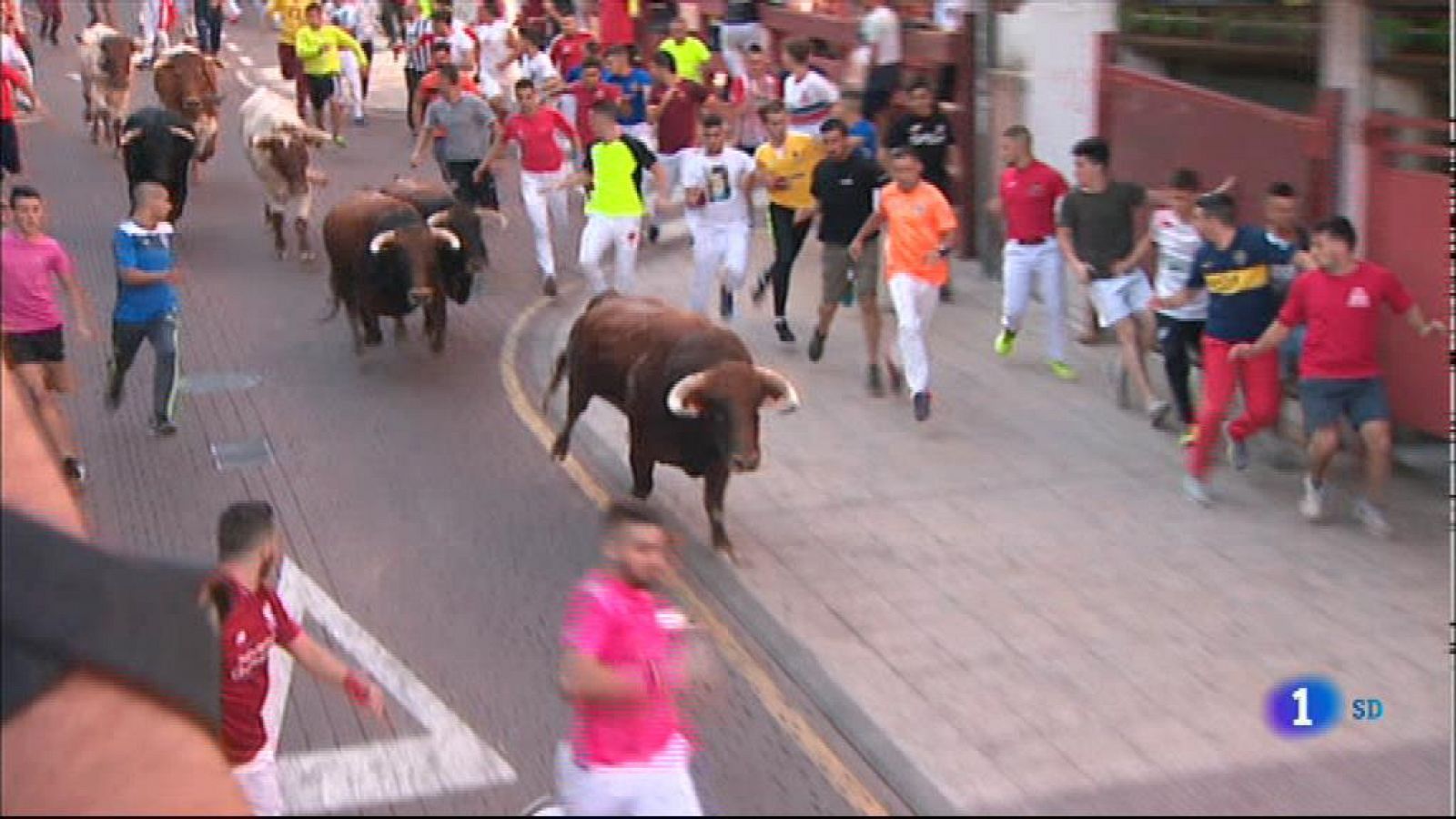 Informativo de Madrid 1     25/08/2021- RTVE.es