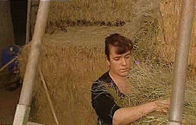 España Directo - De urbanitas a pastoras