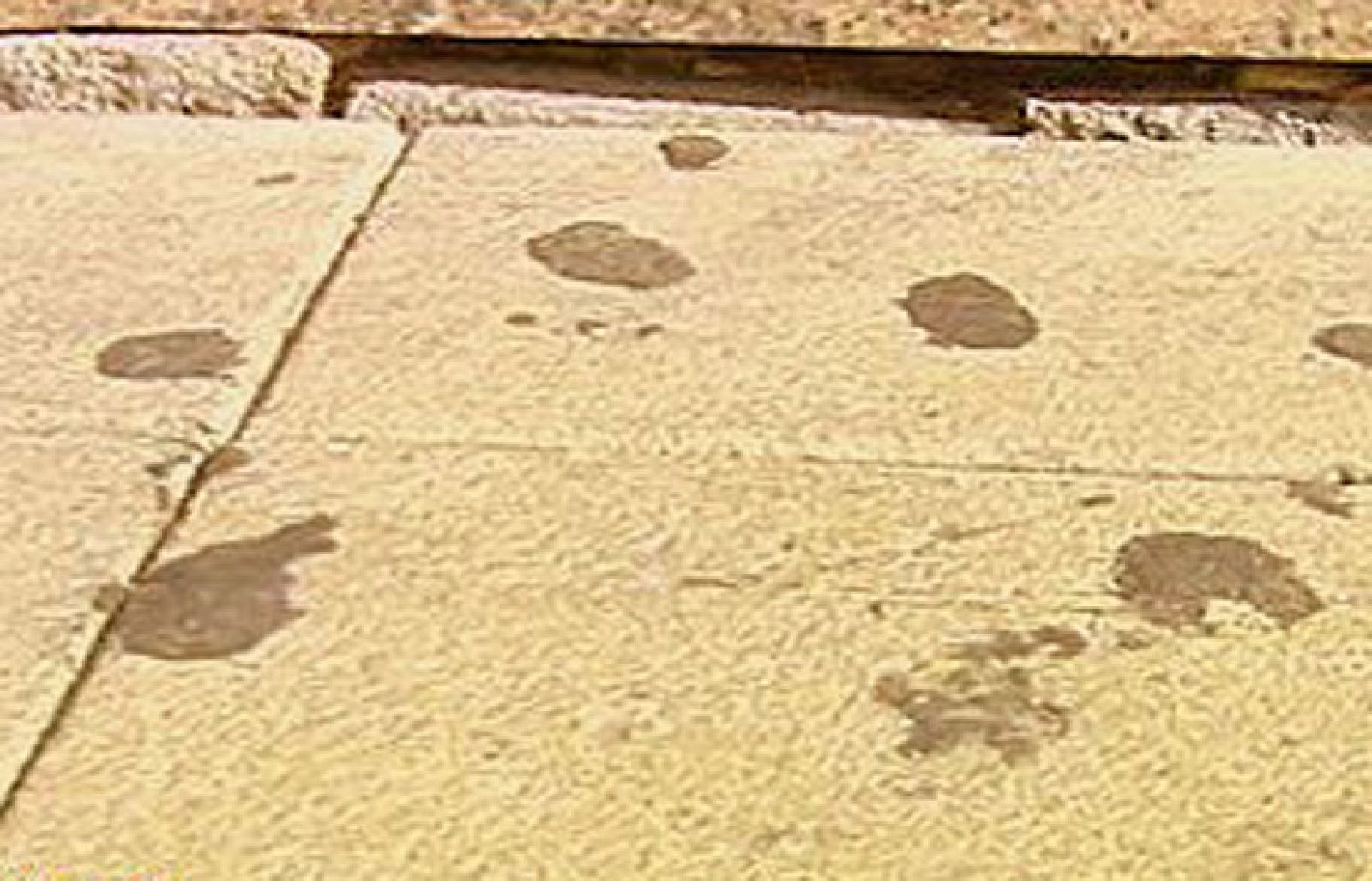 España Directo - Los estragos del chicle | Ver