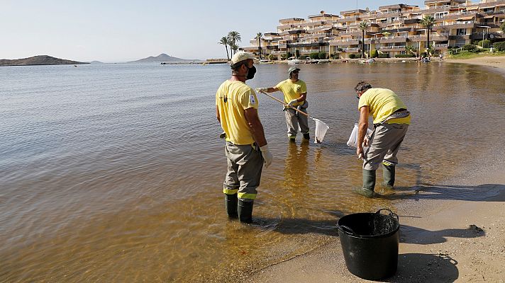 Telediario 1 - Identificar regadios ilegales para salvar el Mar Menor