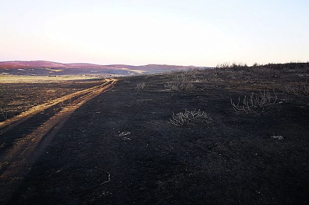 Riofrío: las consecuencias del peor incendio