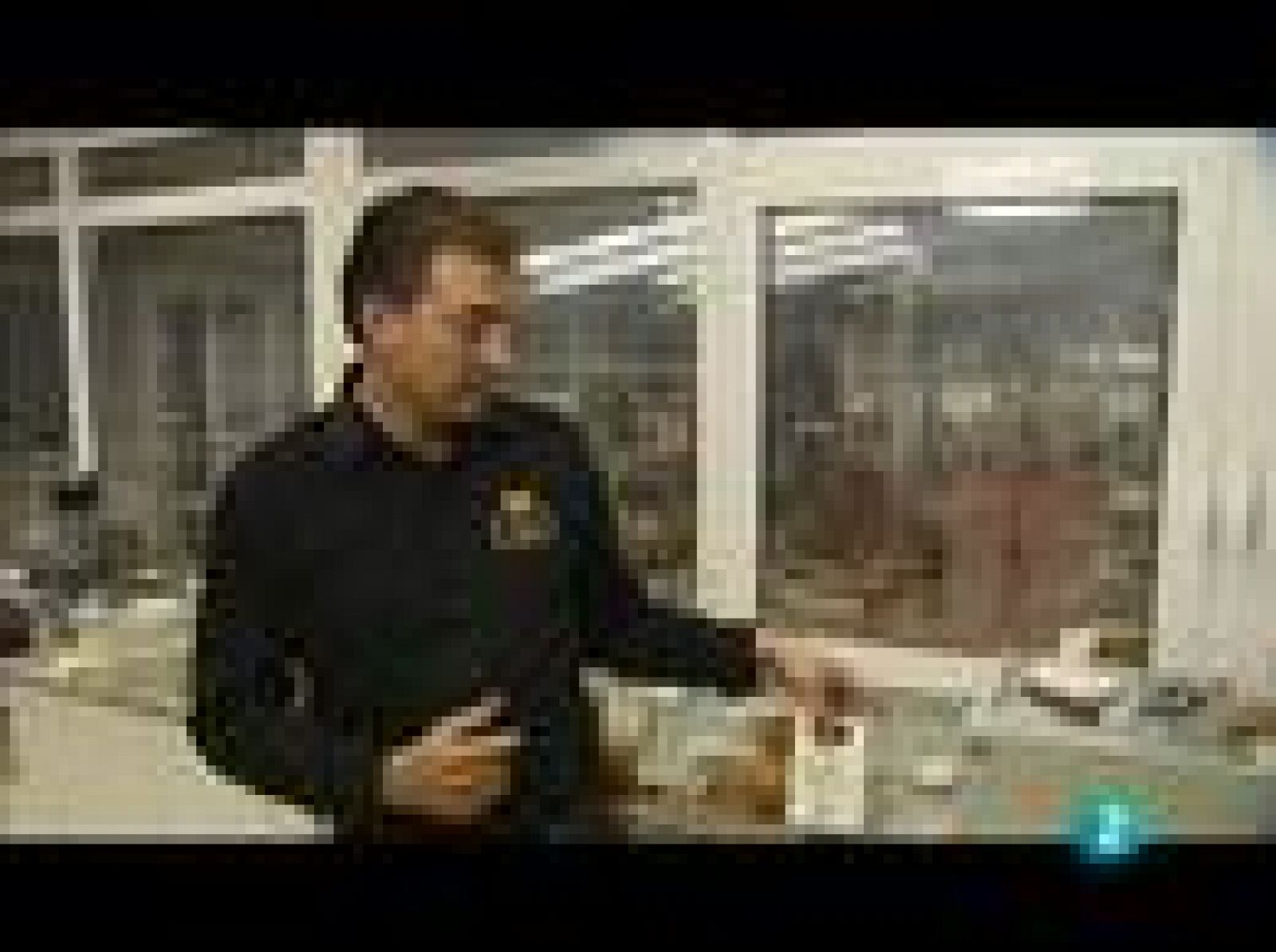 Fábrica de ideas - Imita: Zoogestión | Ver