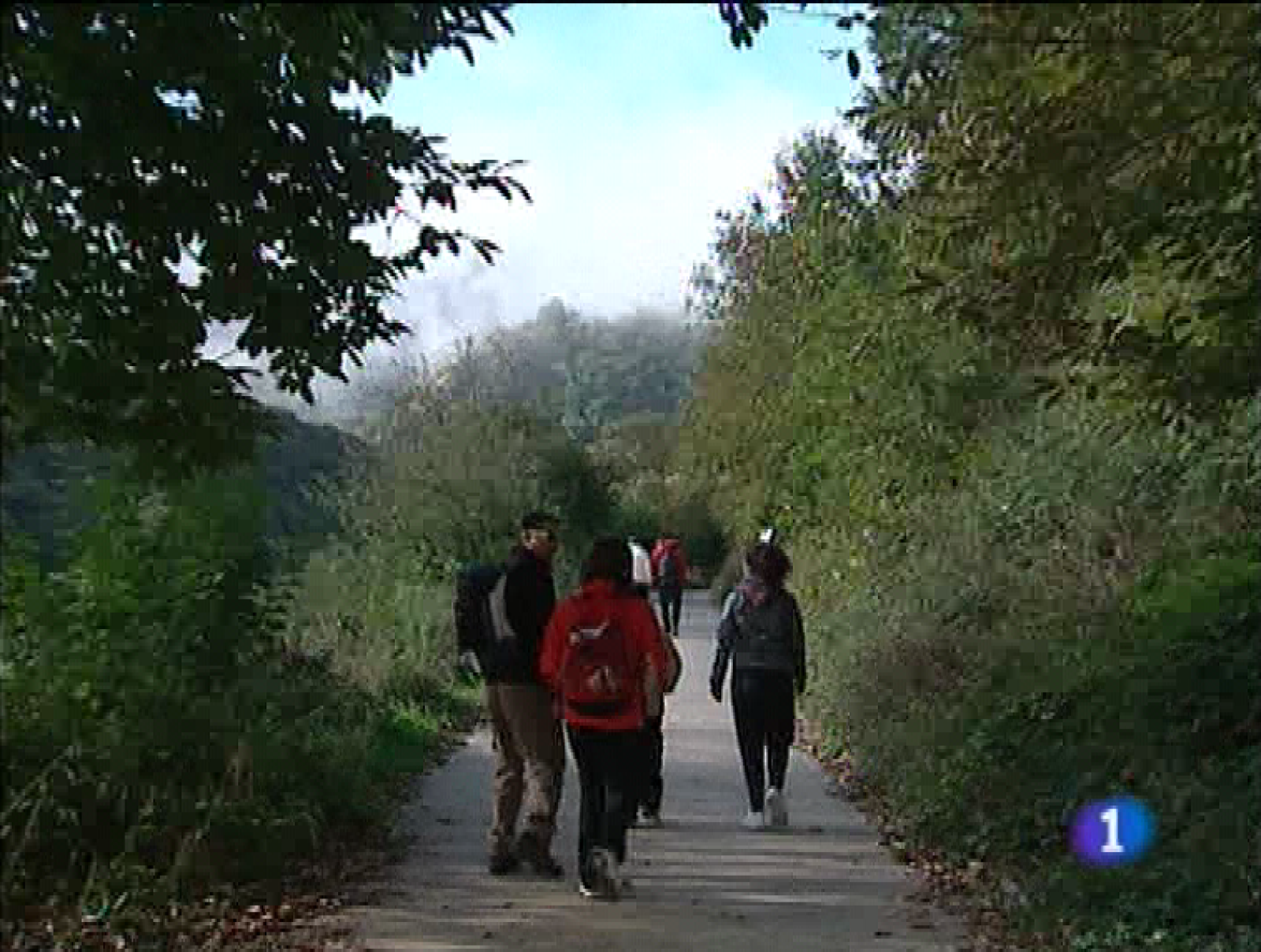 Panorama regional - 19/10/09 - Panorama Regional | Ver