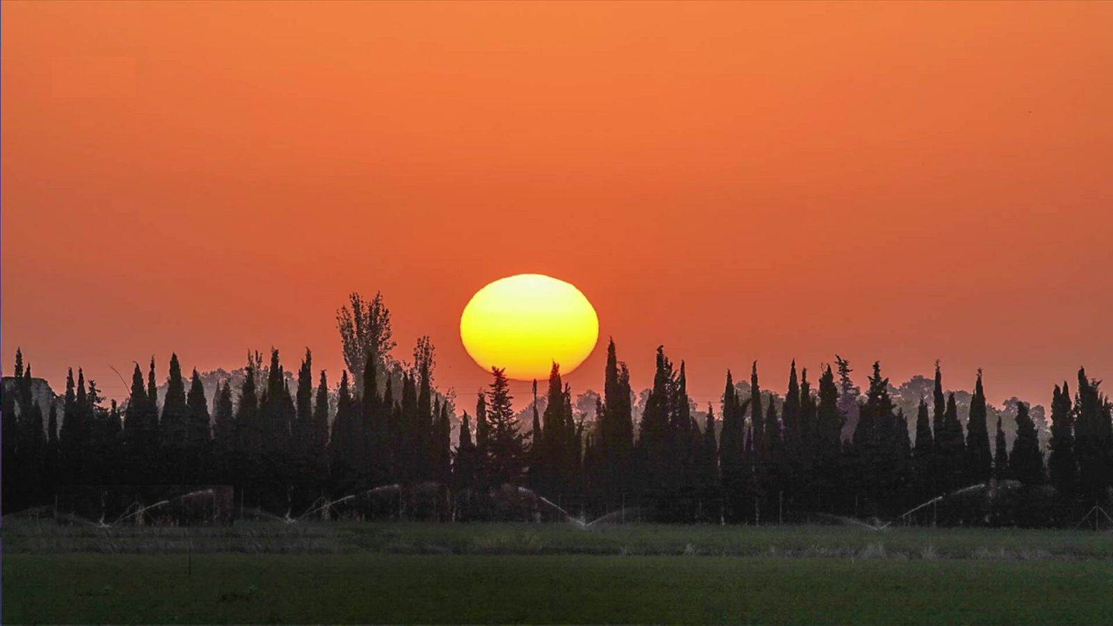 Temperaturas significativamente altas en Murcia y litoral de Málaga - ver ahora