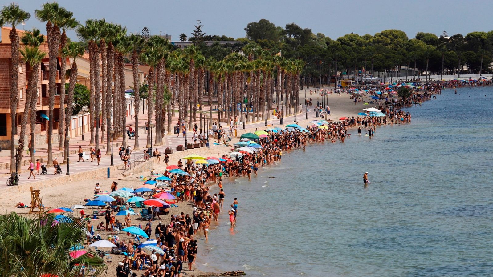 Cadena humana por la crisis medioambiental que sufre el Mar Menor