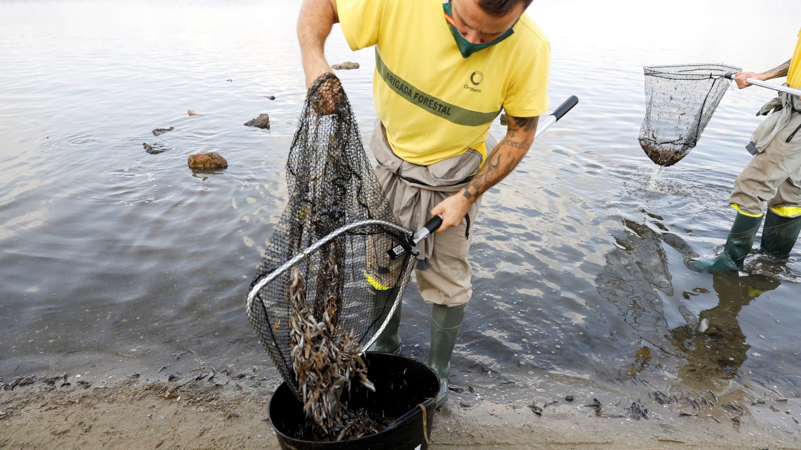 Informe Semanal - Alerta roja, emisiones cero - ver ahora
