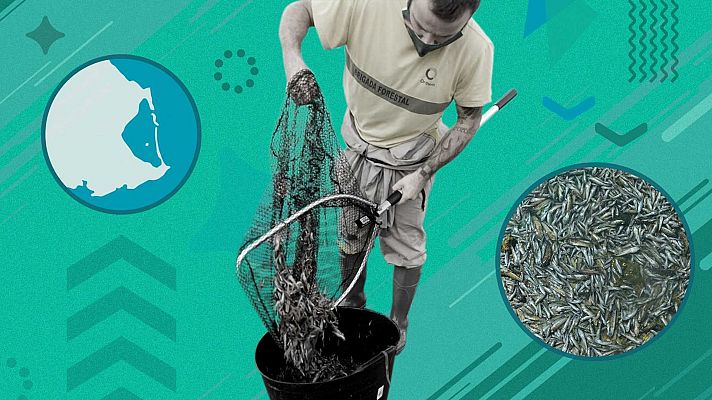 Informe Semanal - Informe Semanal - 28/08/21