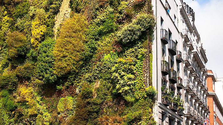 Telediario Fin de Semana - Urbanismo ecológico