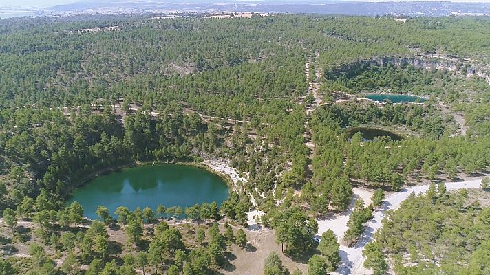Comando Actualidad - Festival de verano