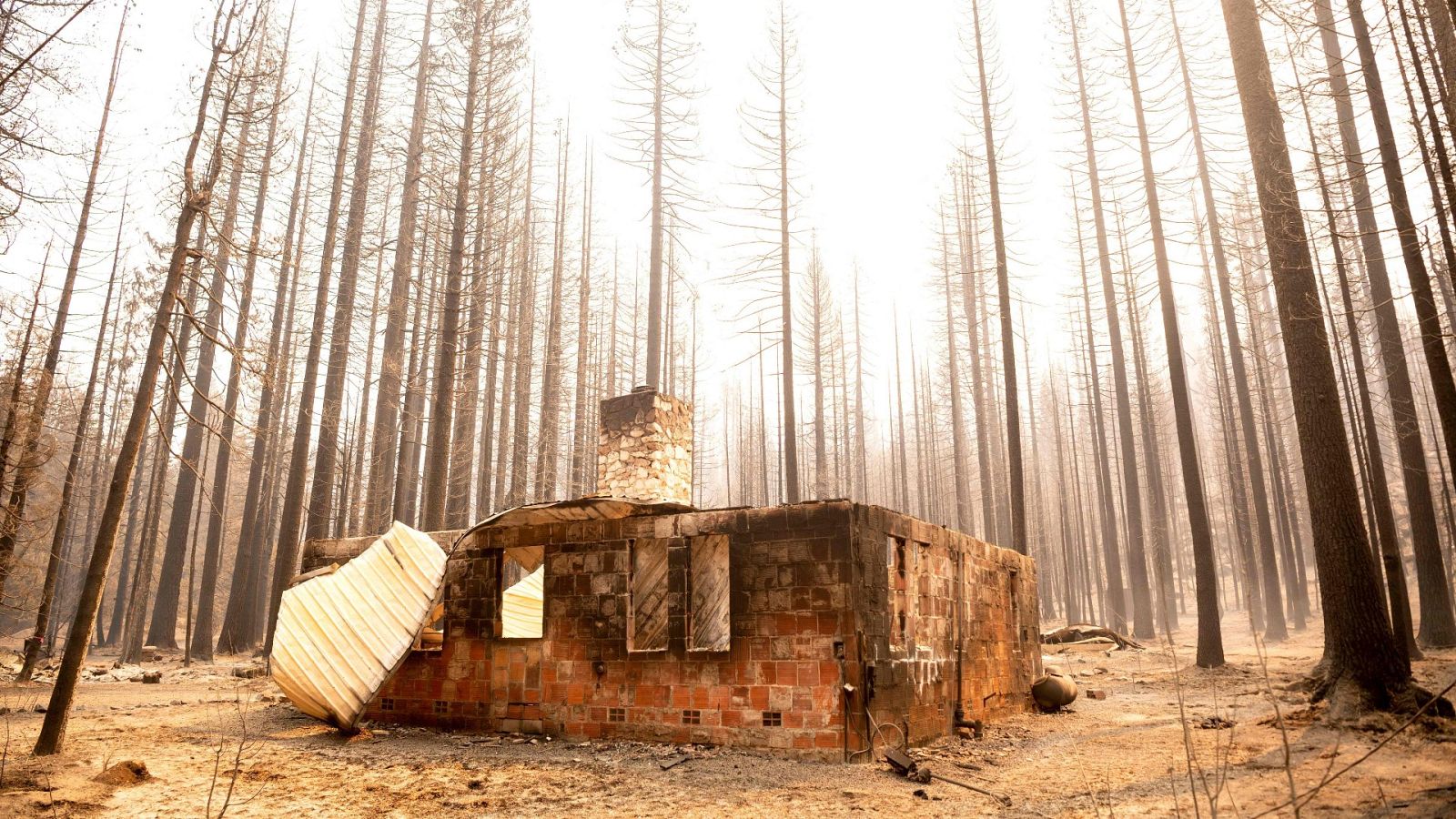 El cambio climático multiplica por cinco las catástrofes naturales - Ver ahora