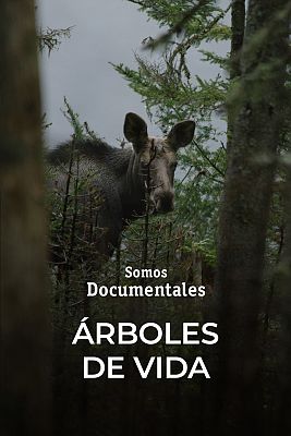 Árboles de vida