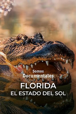 Florida, el estado del sol