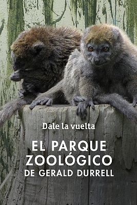 Programas y Concursos en el Archivo de RTVE - Dale la vuelta - Visita al Jersey Zoological Park de Gerald Durrell