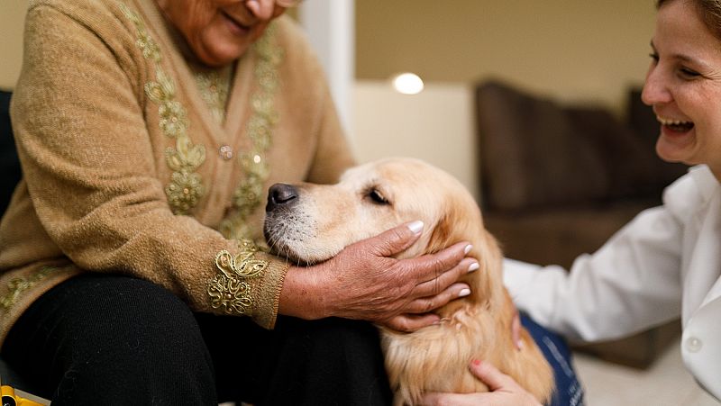 Los beneficios de la terapia con animales